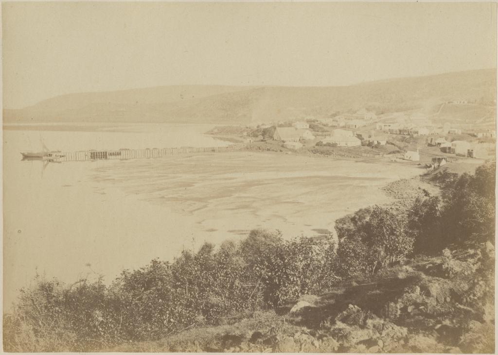 Dunedin from the North, 1858