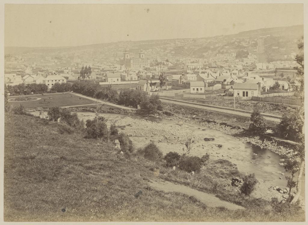 Dunedin from the North with Botanical Gardens in foreground