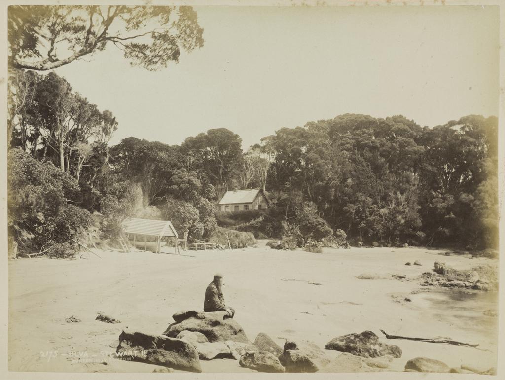 Ulva, Stewart Island
