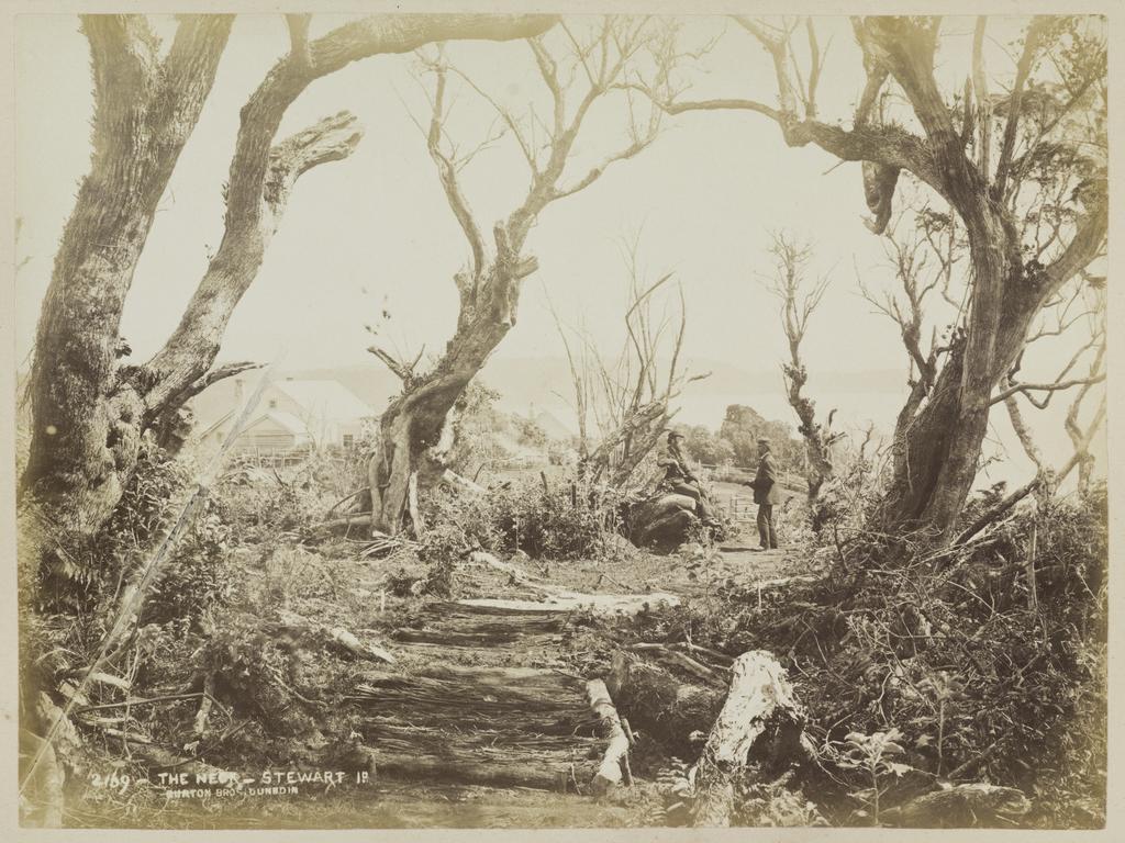 The Neck, Stewart Island