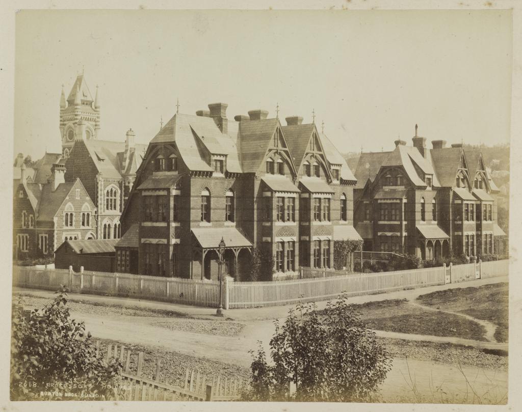 Professors Houses