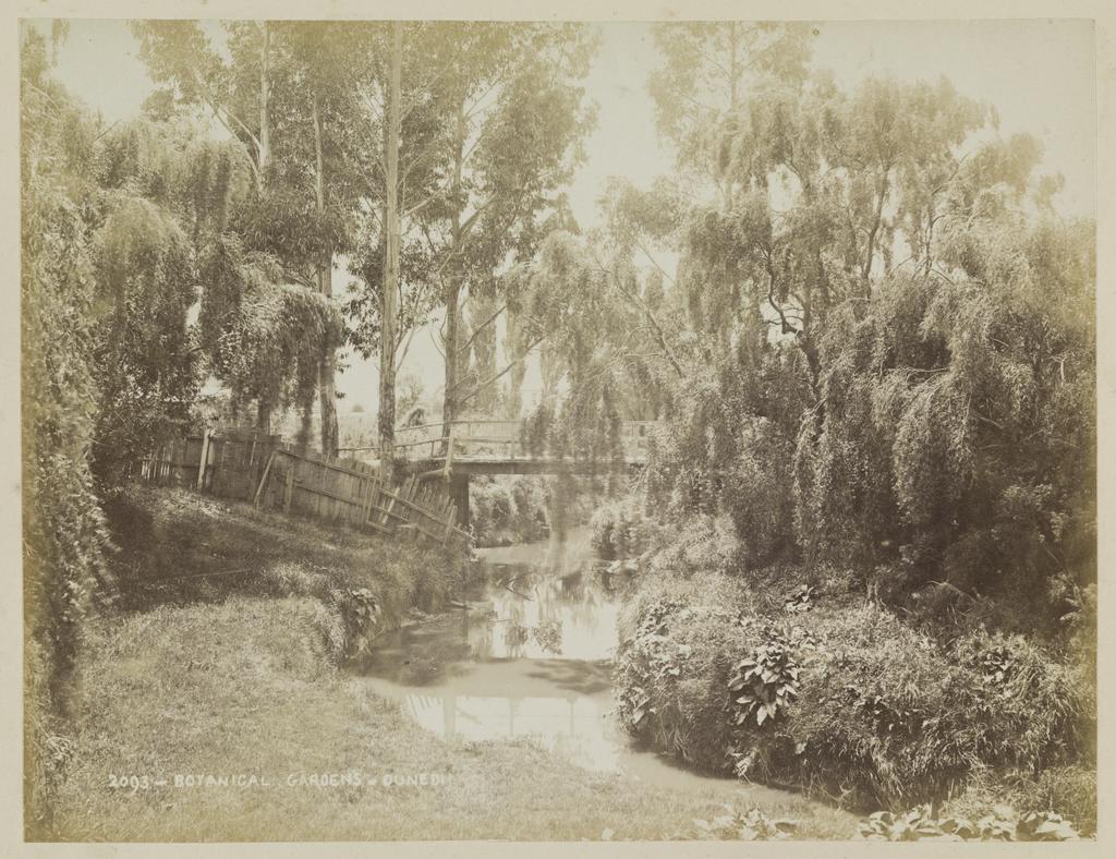 Botanical Gardens, Dunedin