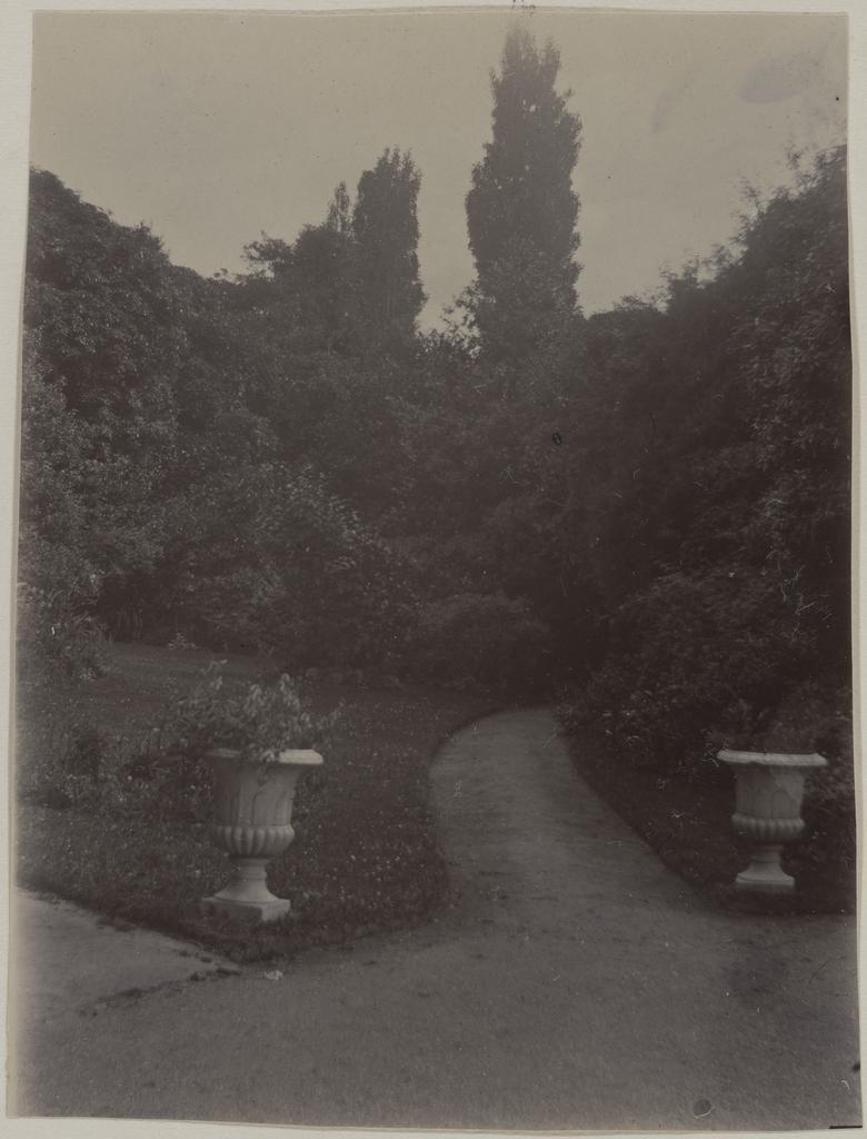 The Garden