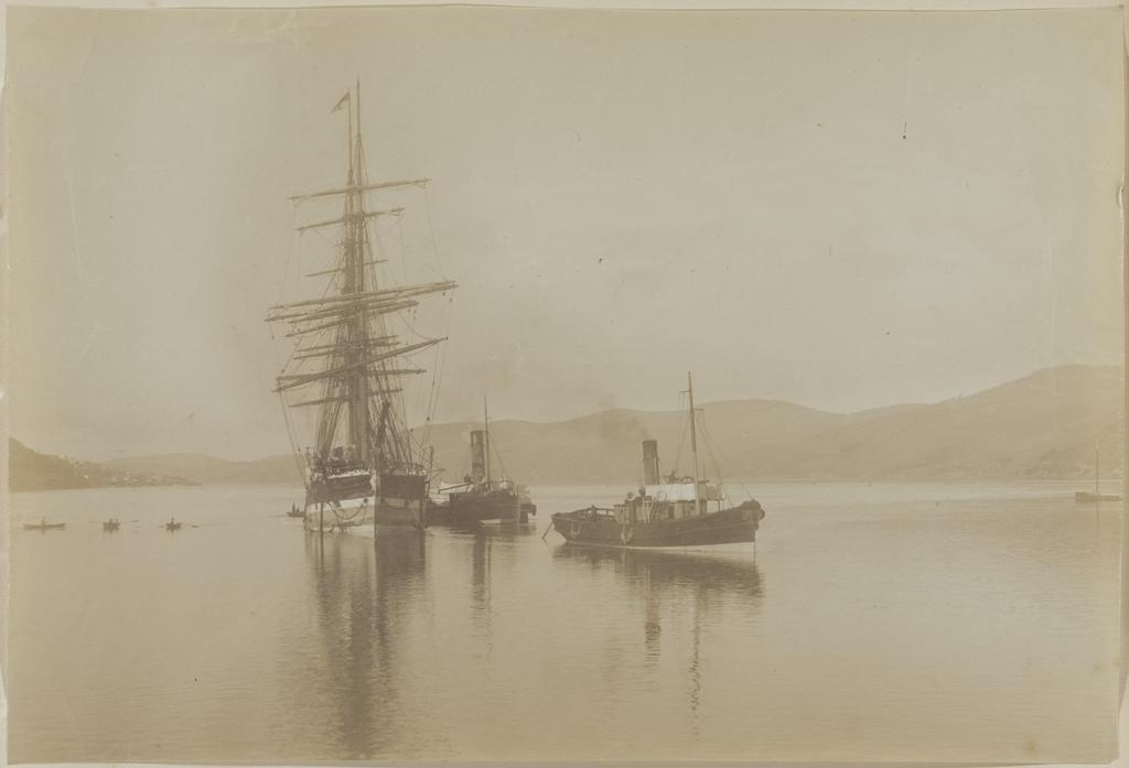 Coming into the Wharf, Dunedin
