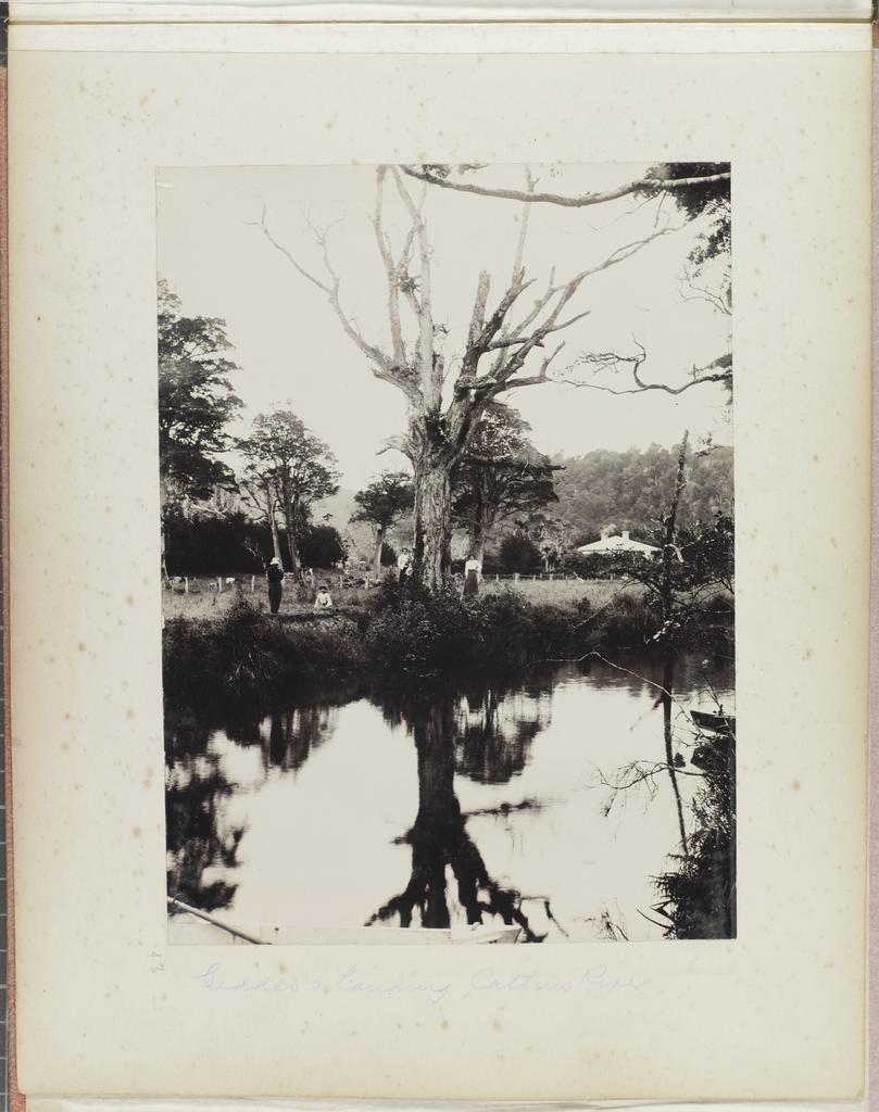Geddes's Landing, Catlins River