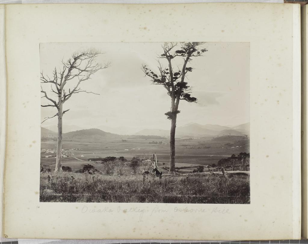 Owaka Valley from Osborne Hill
