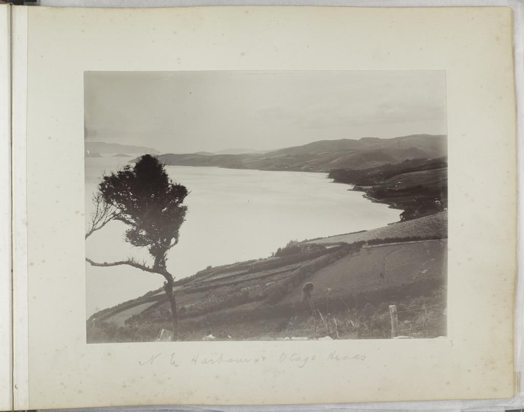 North East Harbour and Otago Heads