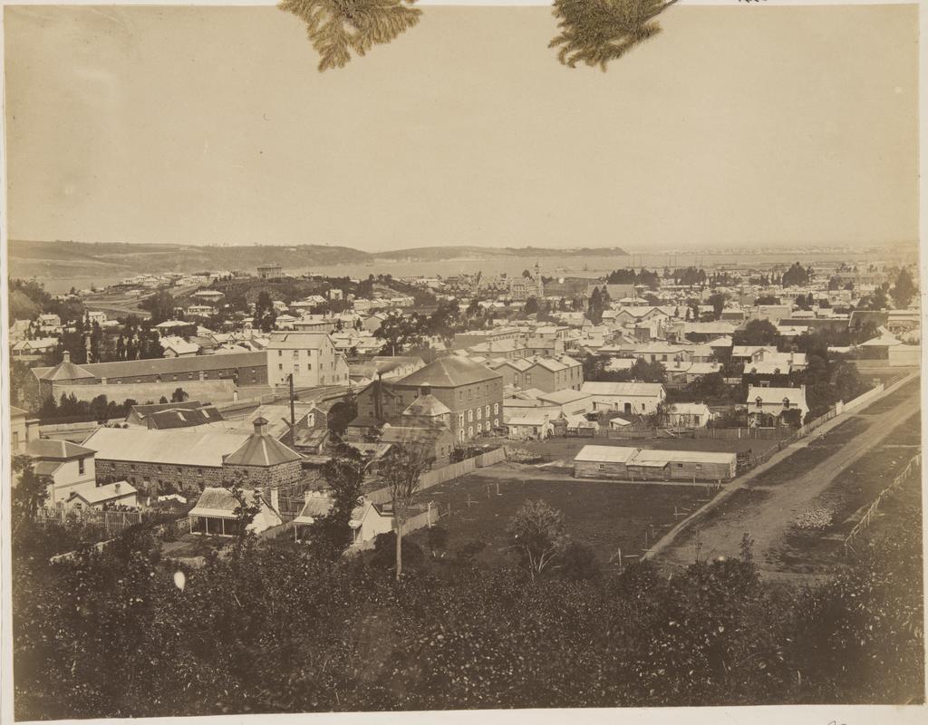 Dunedin from North