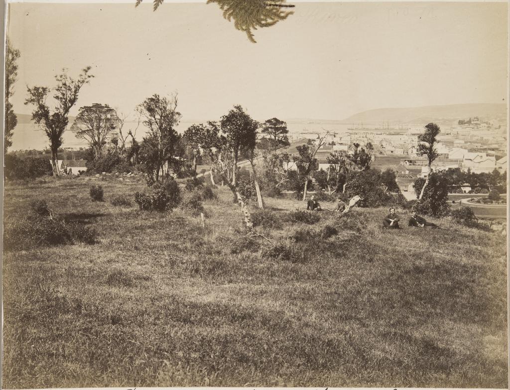 Dunedin from the east