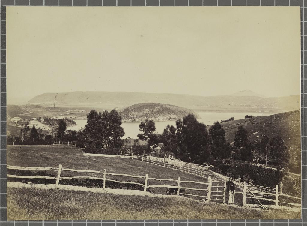 Otago Harbour, lower
