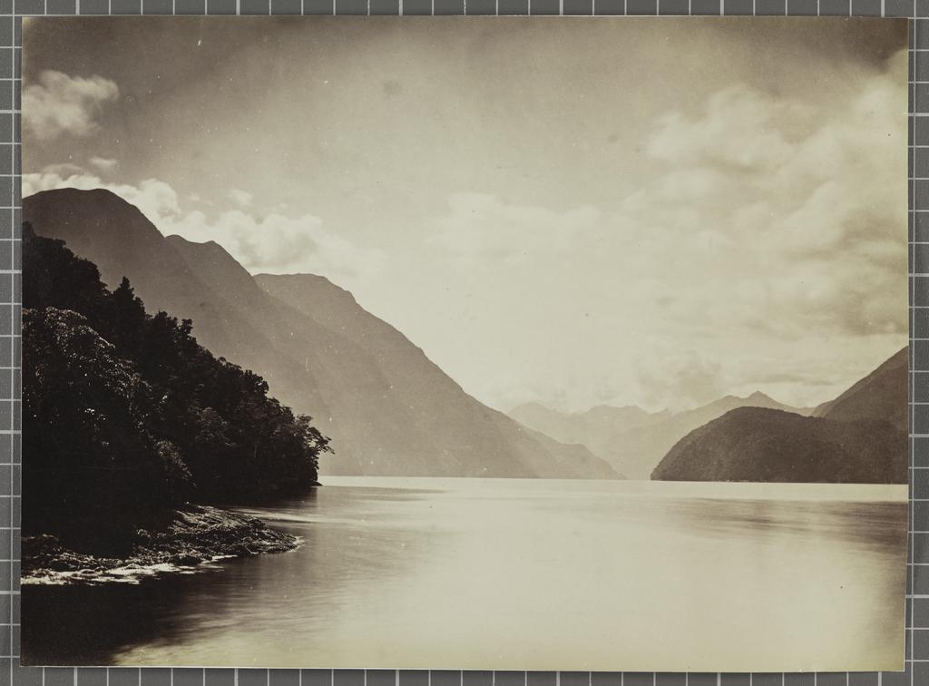 Doubtful Sound, near the junction of Thompson &amp; Bradshaw