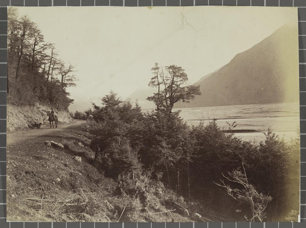 Bealey and Waimakariri