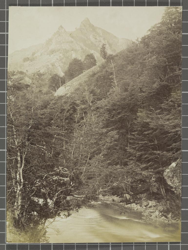 On a tributary of the Shotover River