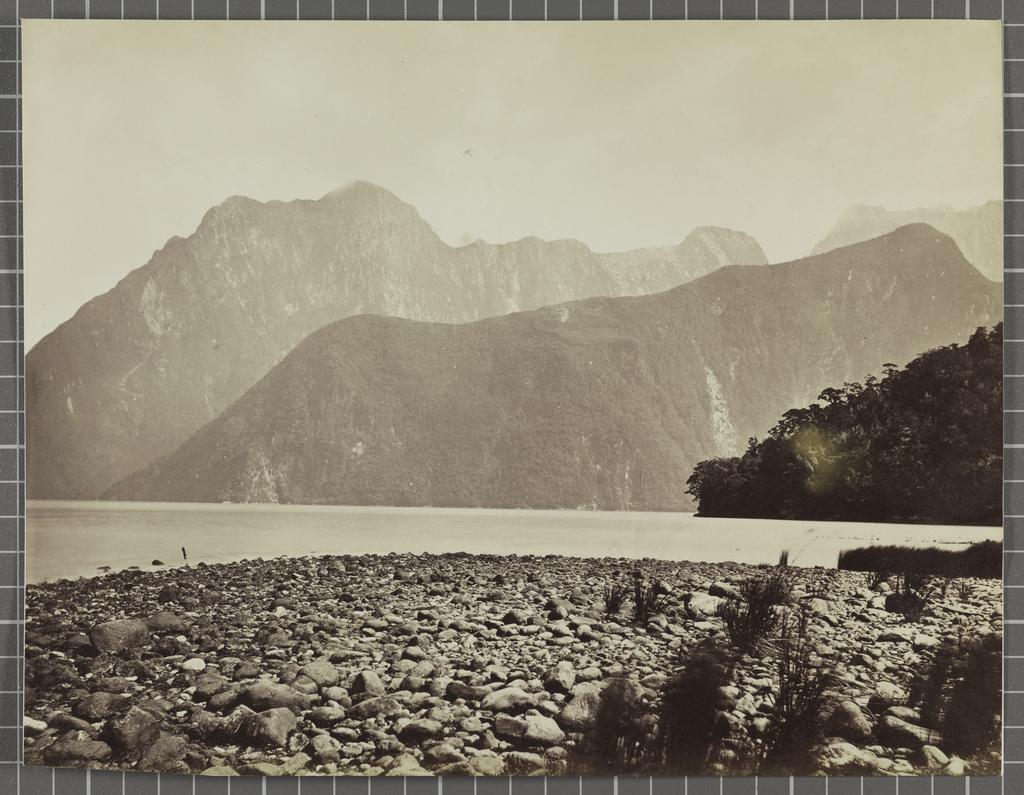 In Milford Sound- view taken from Harrison's Cove