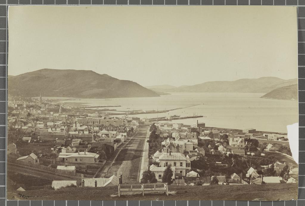 Carroll Street, Dunedin