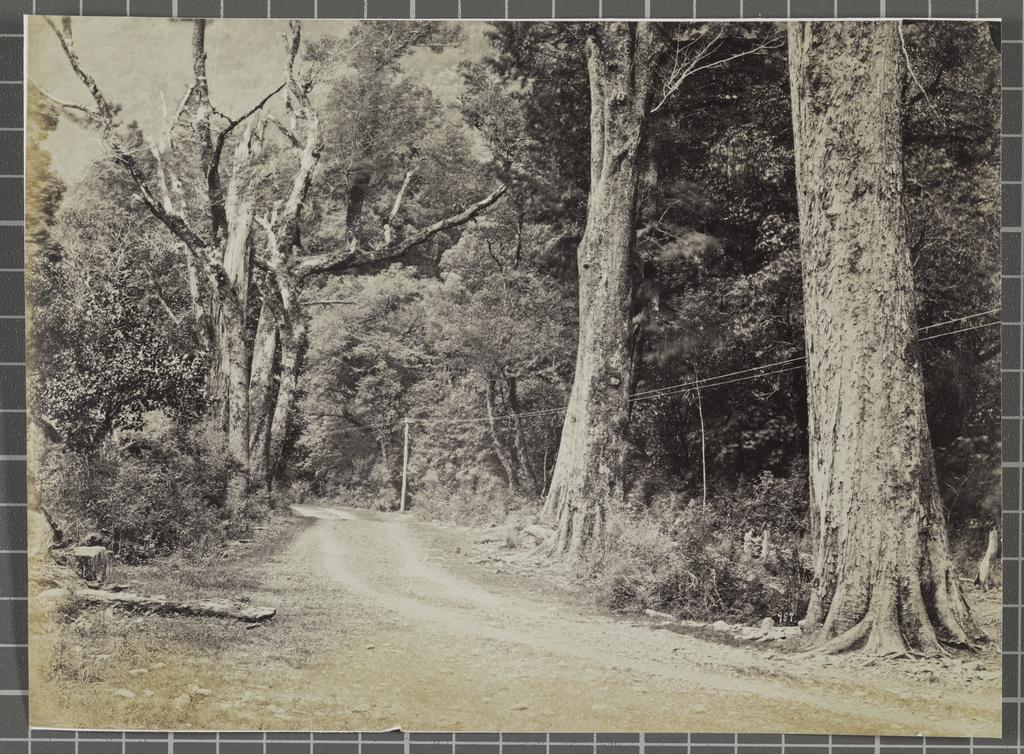 On the West Coast Road between 30 and 40 mile pegs
