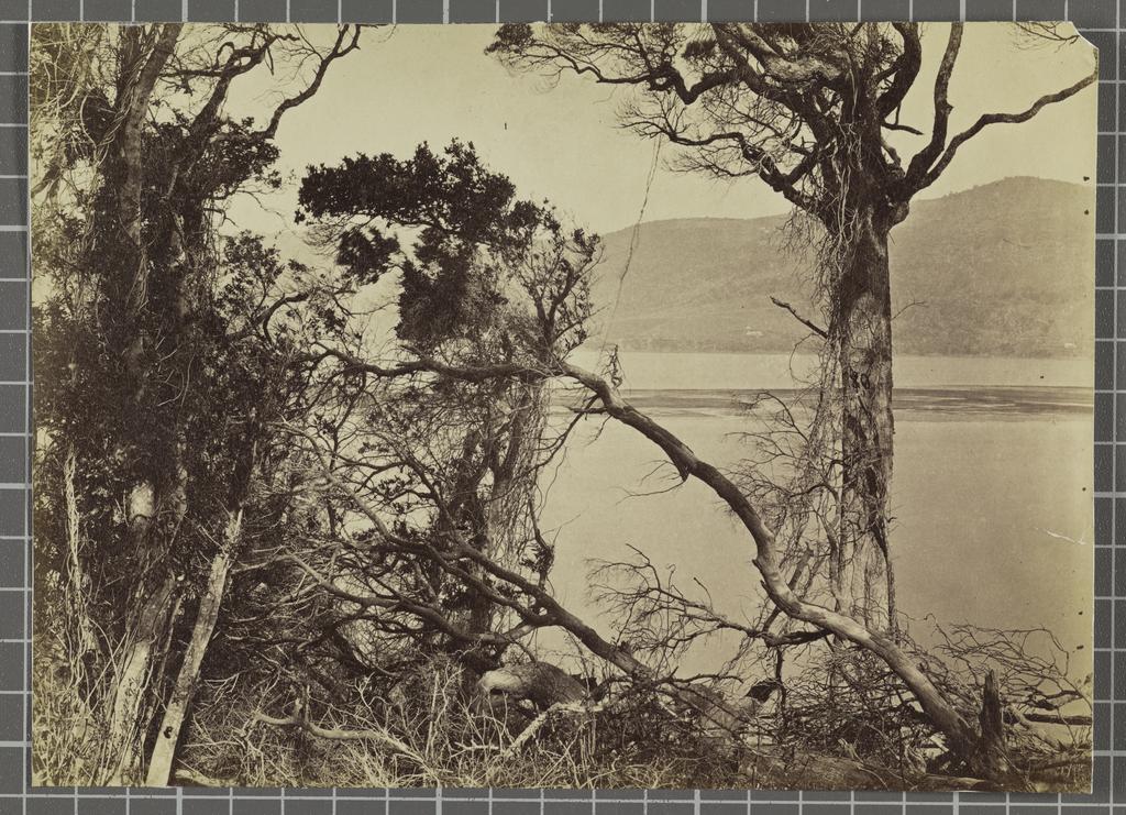 Otago Harbour from Port Chalmers Road