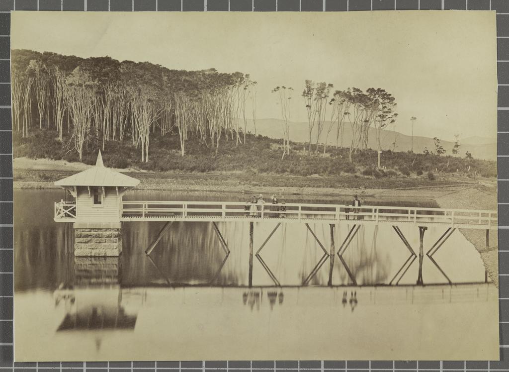 Ross Creek Reservoir, Dunedin