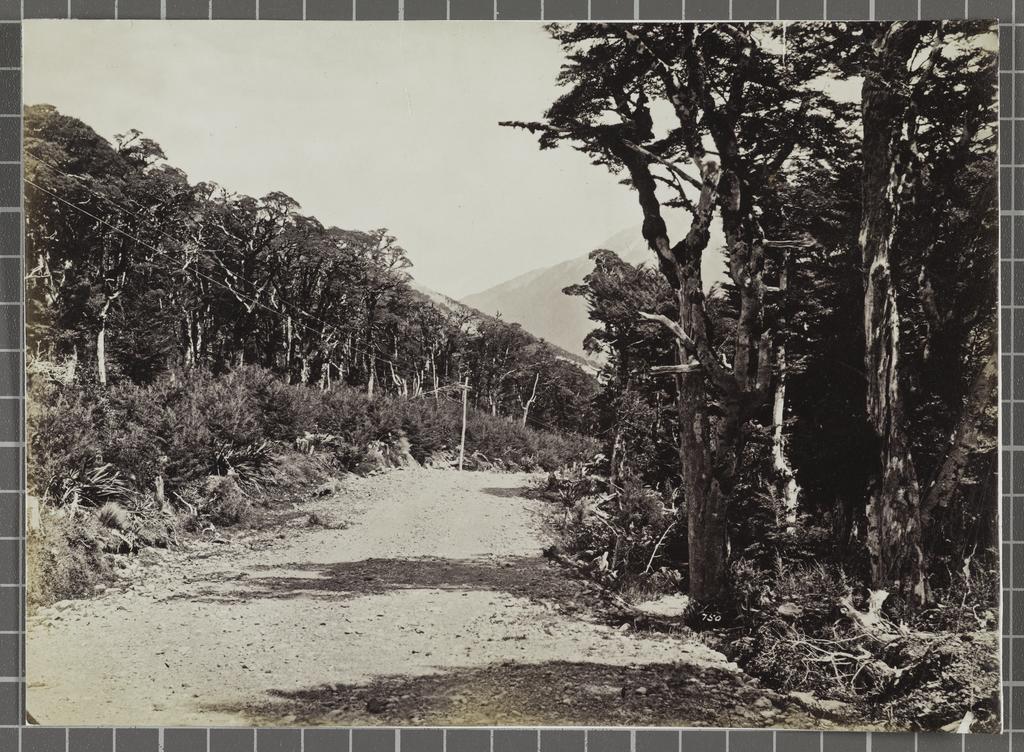 Arthur's Pass, West Coast Road