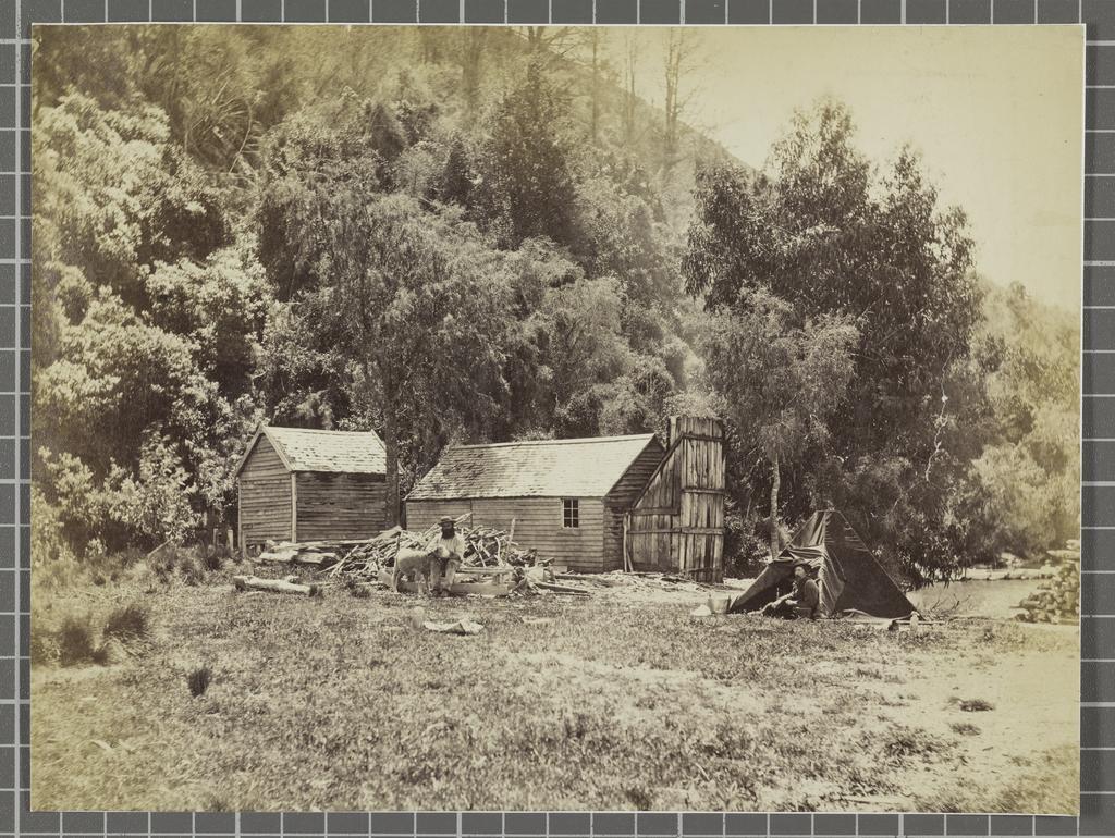 McBride's Hut, at the Greenstone