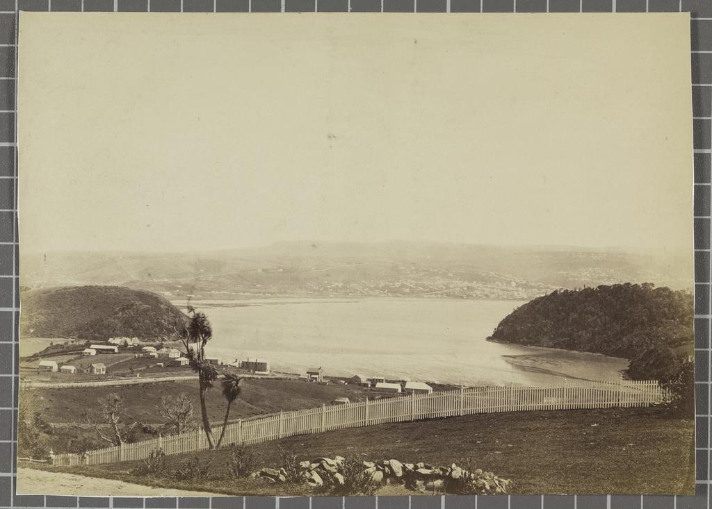Dunedin