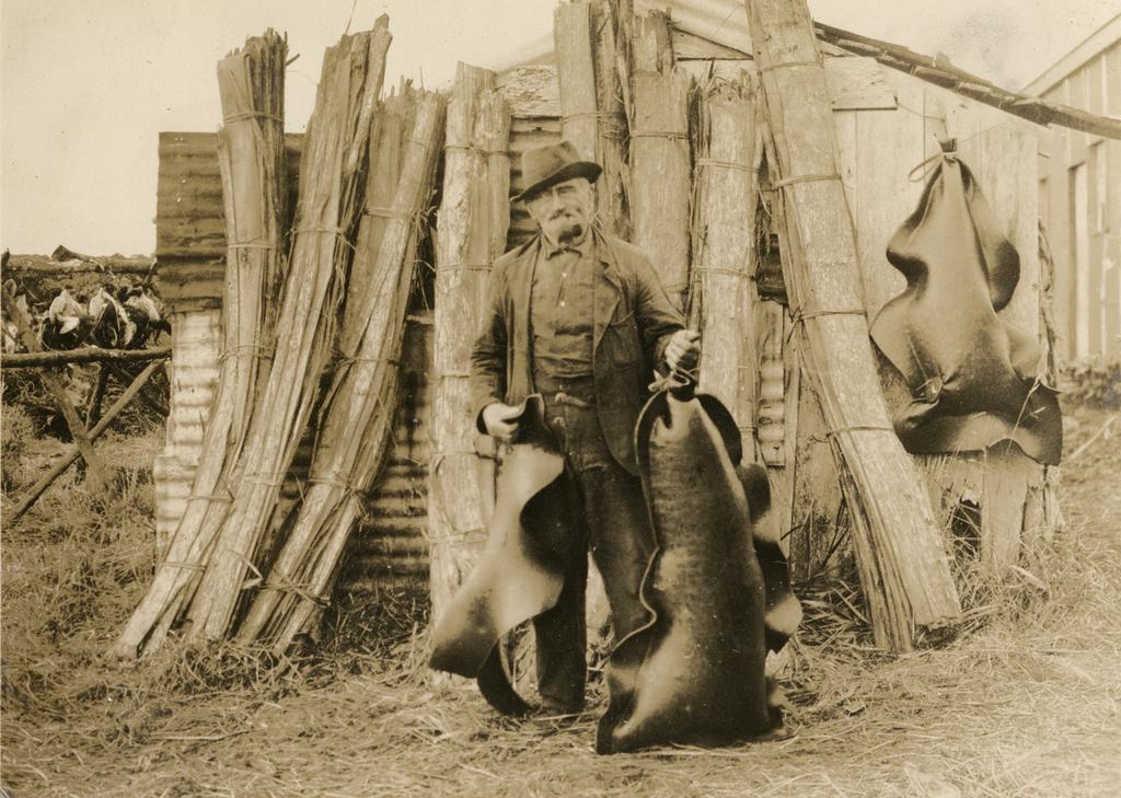 Gear used by Māoris for packing up birds.