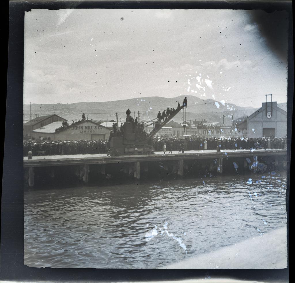 Arrival at Dunedin