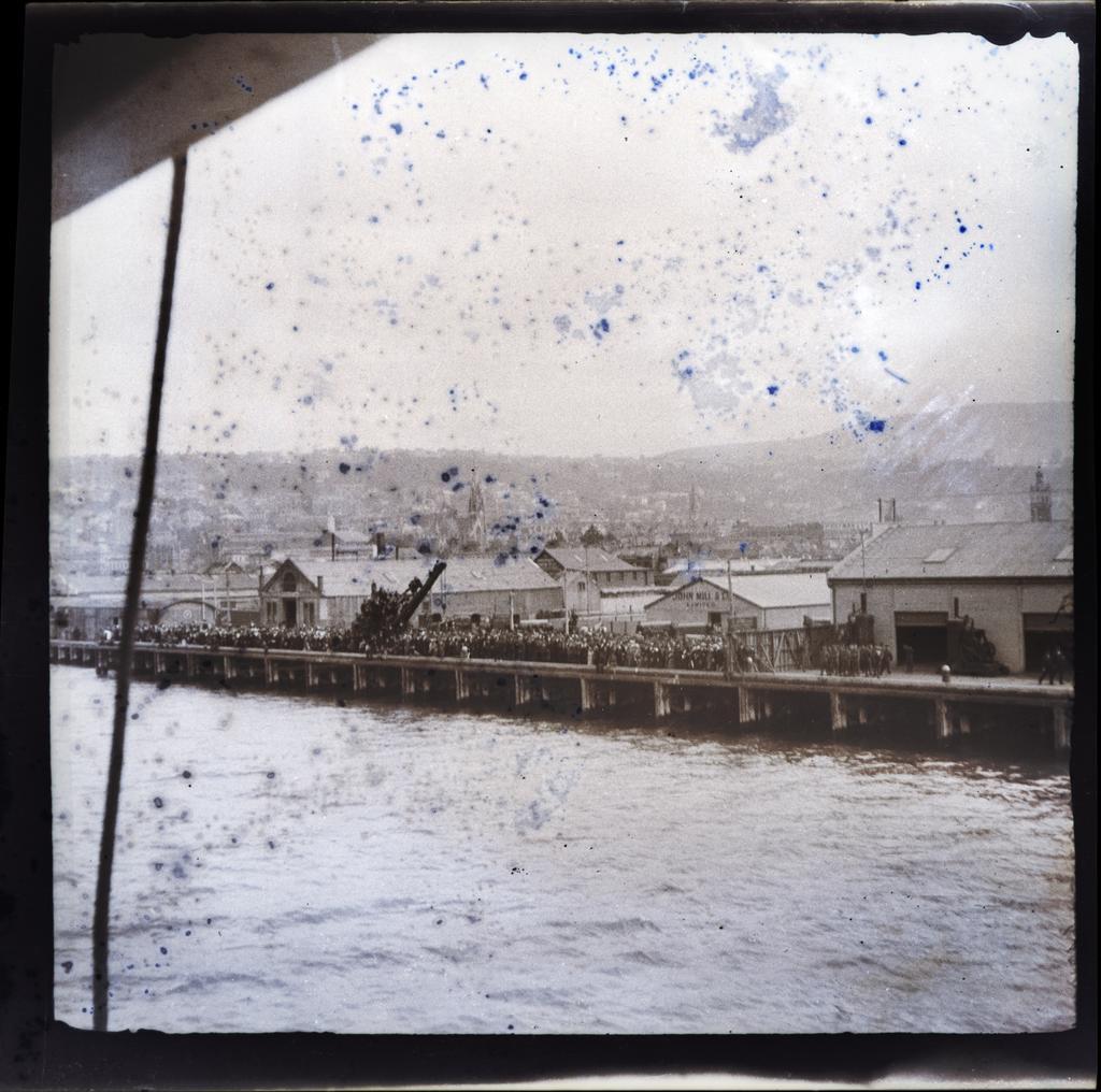 Wharf at Dunedin