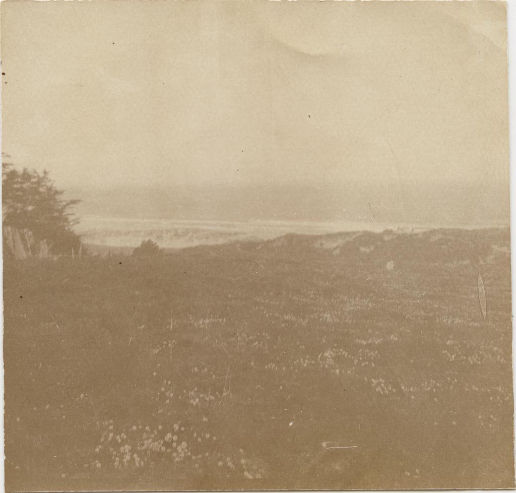 Coastline