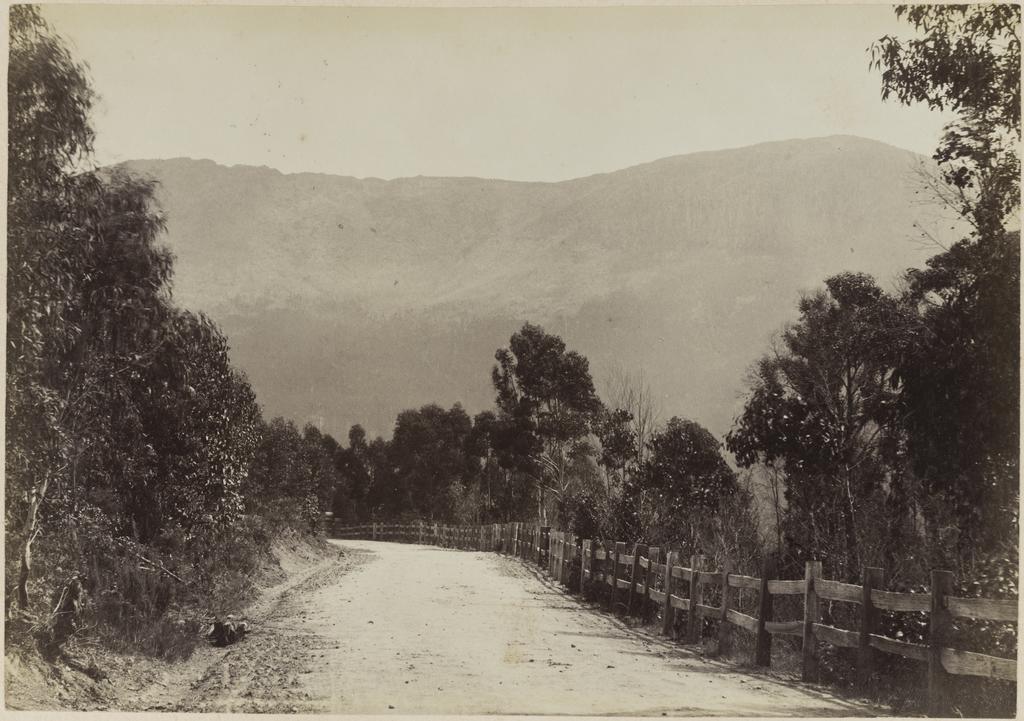 Road to Mt Wellington, Tasmania