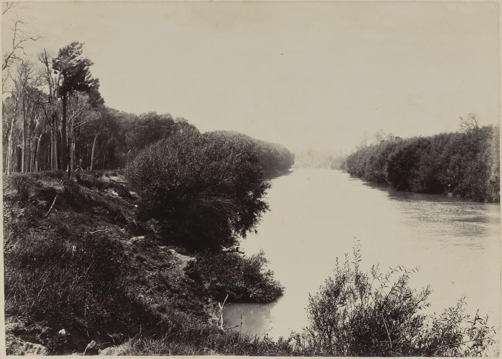 Tauherenikau River?