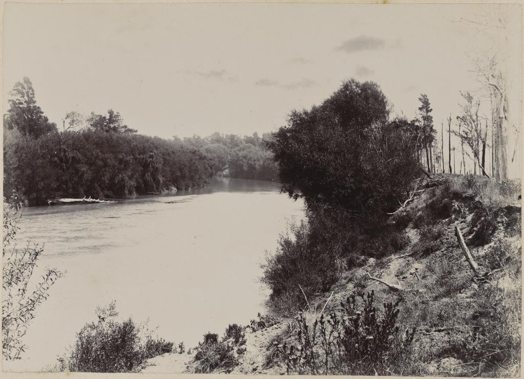 Tauherenikau River?