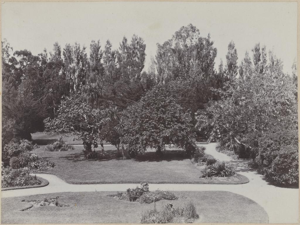 Garden from top storey