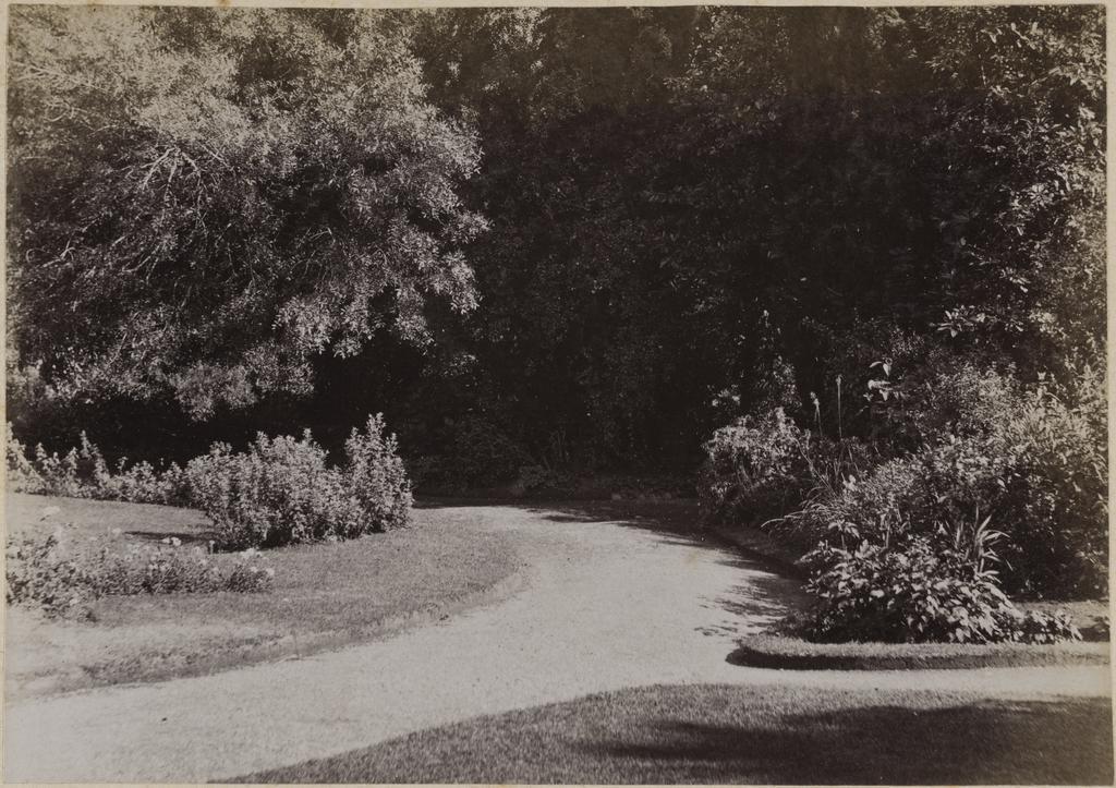 Curve in the path