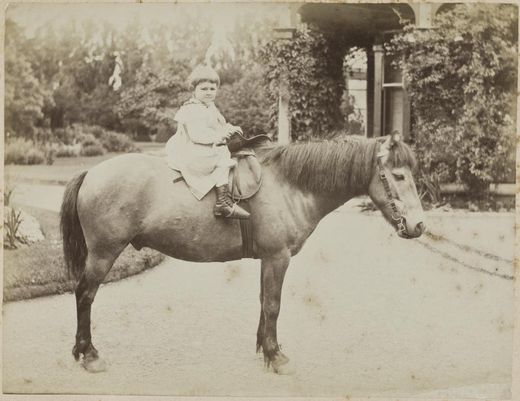 Dorothy Pharazyn on horseback