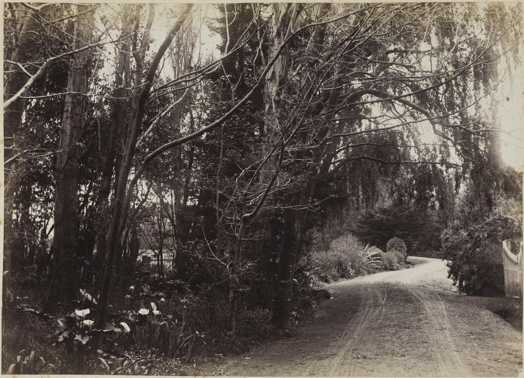 Driveway, Longwood Station