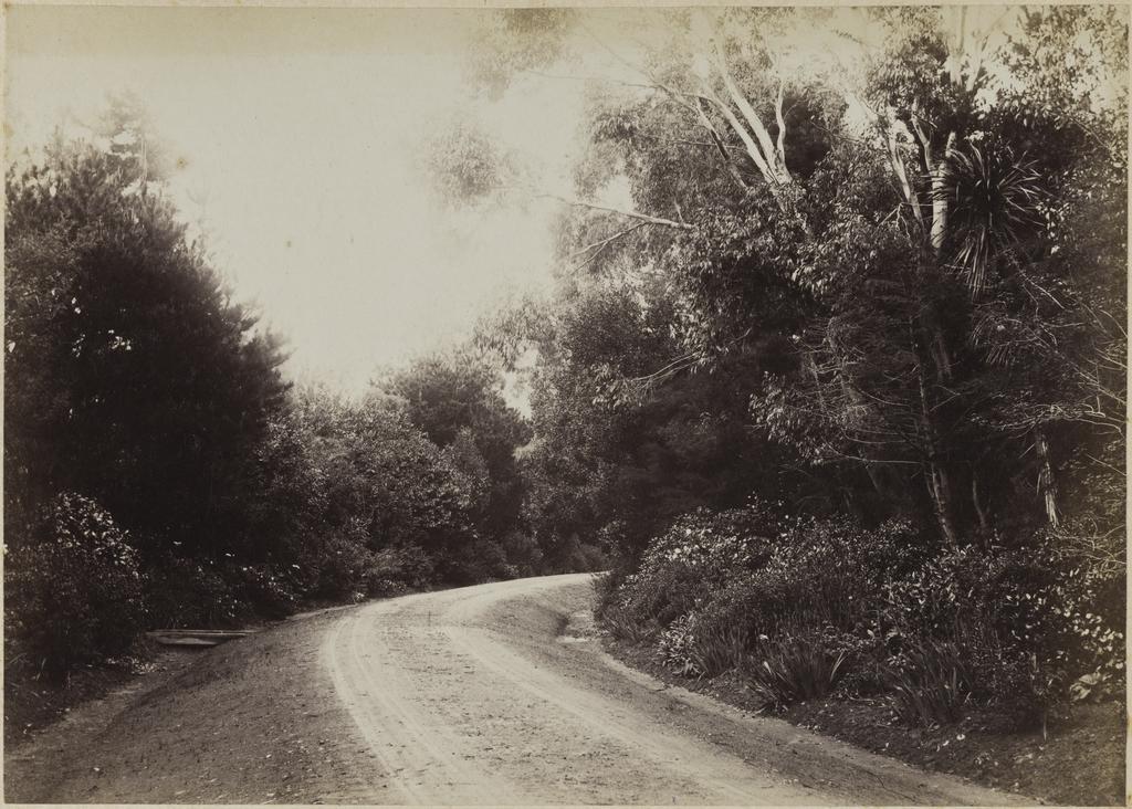 Driveway at Longwood Station