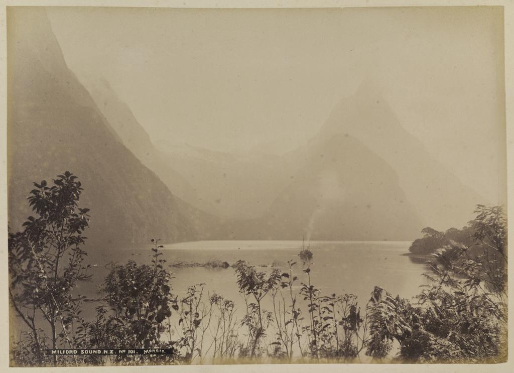 Milford Sound, N.Z.