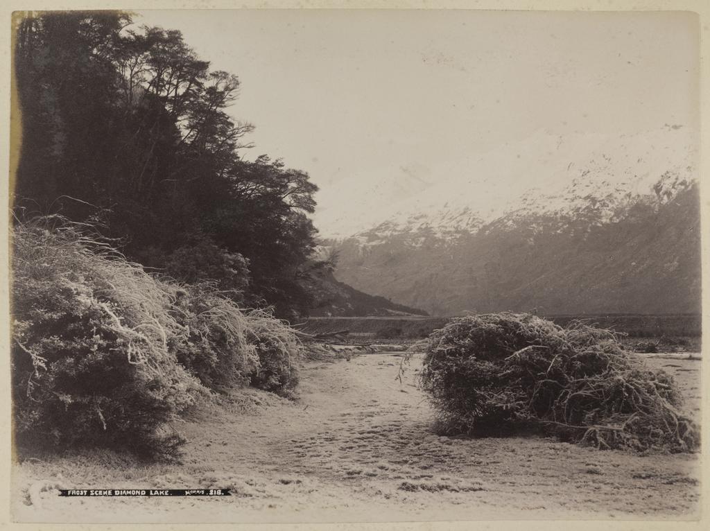 Frost scene, Diamond Lake
