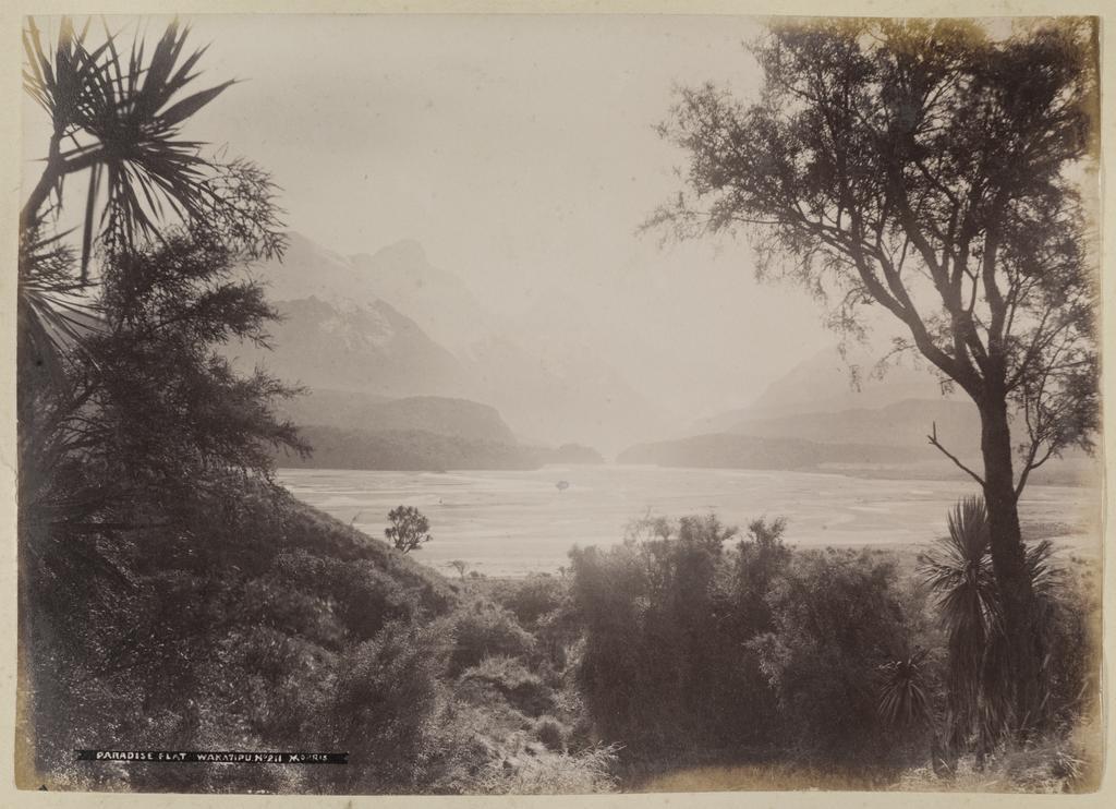 Paradise Flat, Wakatipu