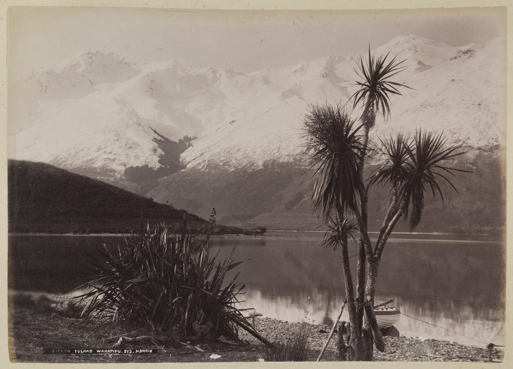 Pigeon Island, Wakatipu