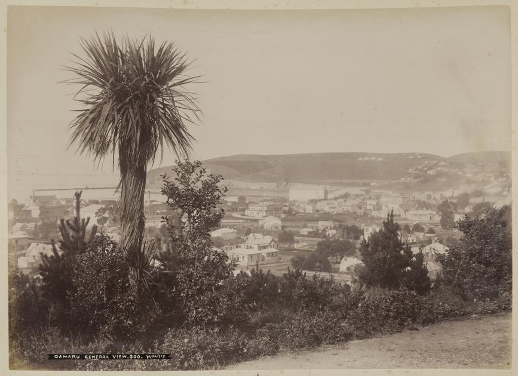 Oamaru, general view