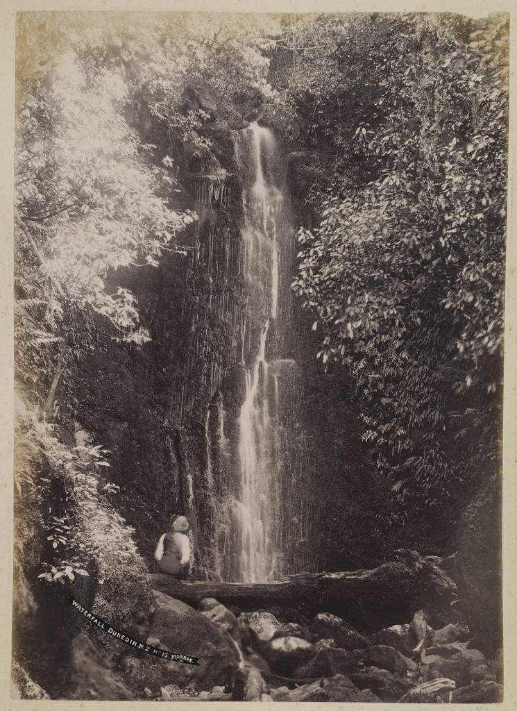 Waterfall Dunedin N.Z.