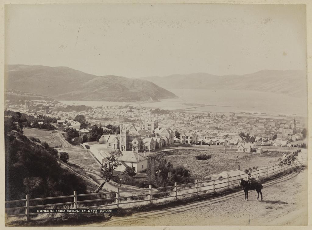 Dunedin from Roslyn