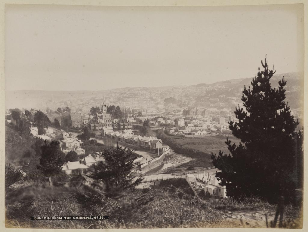 Dunedin from the Gardens