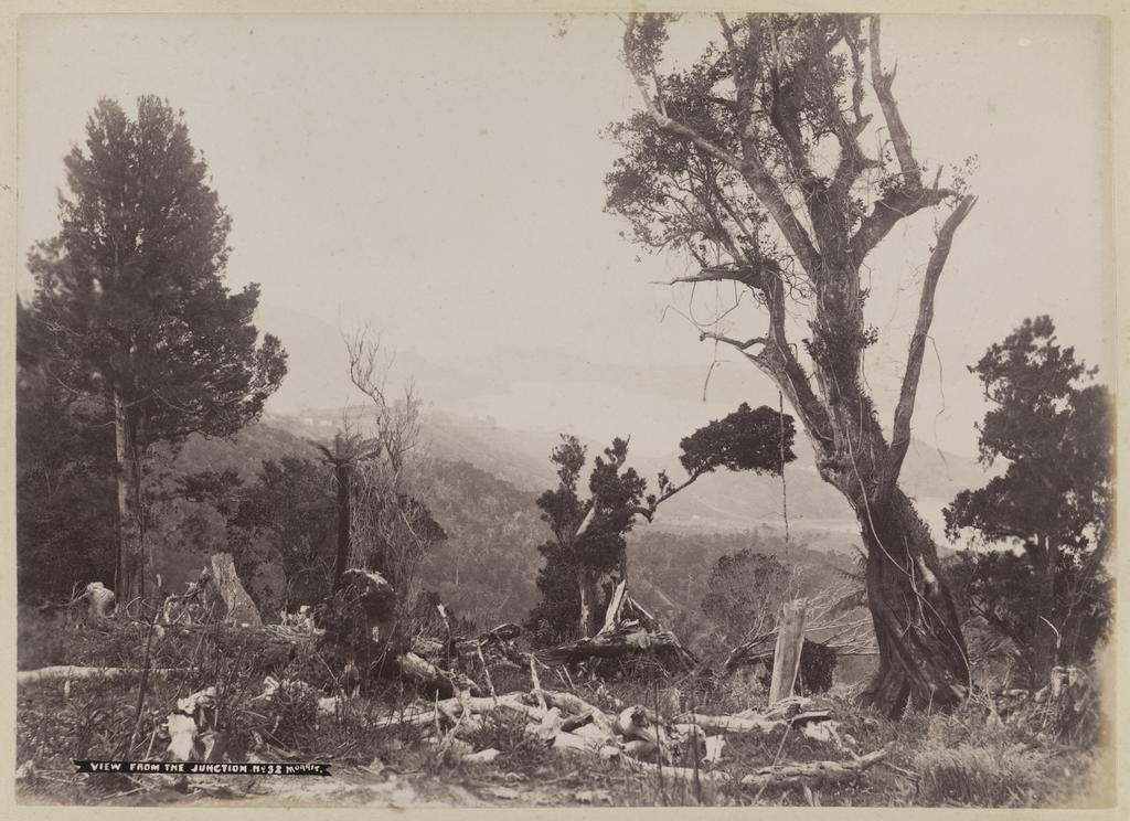 View from the junction