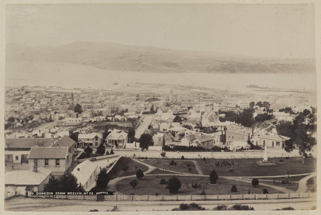 Dunedin from Rosyln