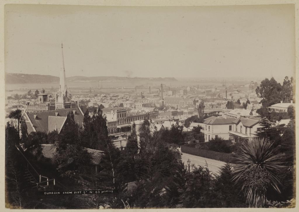 Dunedin from Pitt St