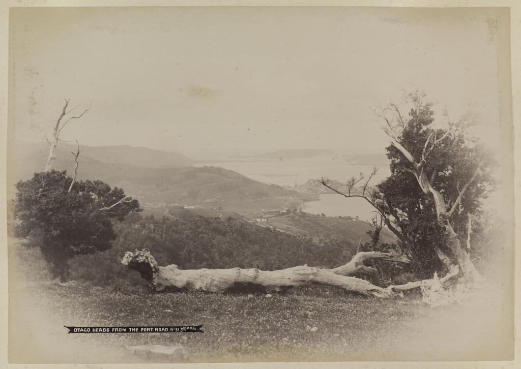 Otago Heads from the Port Road