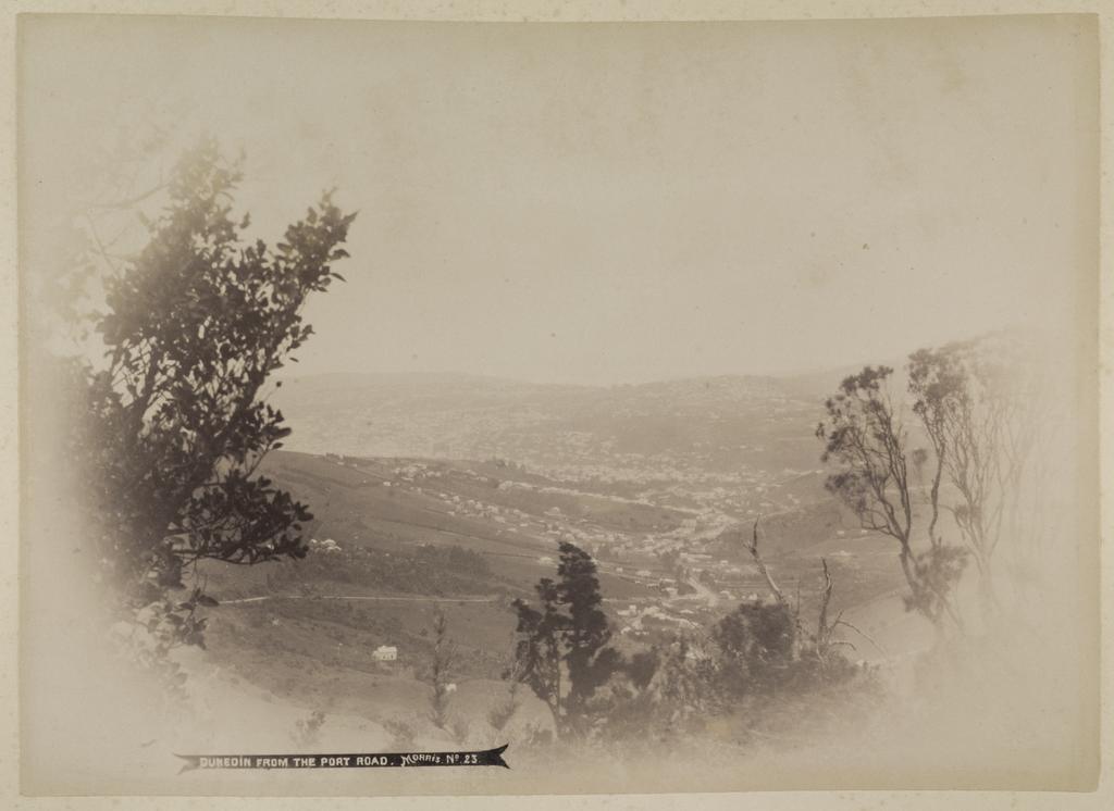Dunedin from the Port Road